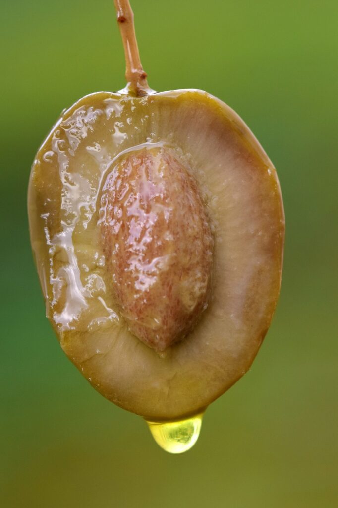 olive, olive oil, green